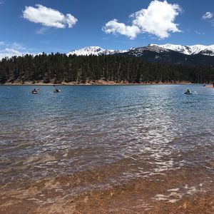 Meet your Posher, Wayne